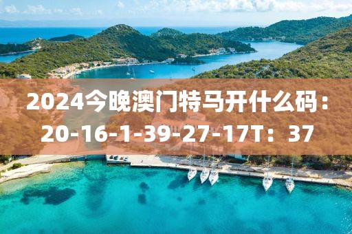 2024今晚澳门特马开什么码：20-16-1-39-27-17T：37