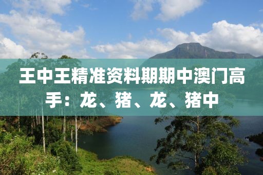 王中王精准资料期期中澳门高手：龙、猪、龙、猪中