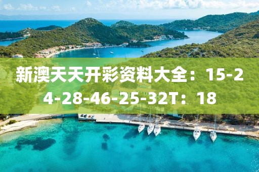新澳天天开彩资料大全：15-24-28-46-25-32T：18