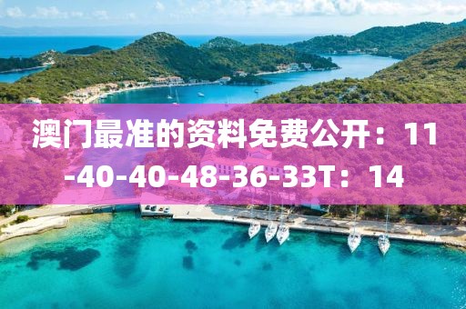 澳门最准的资料免费公开：11-40-40-48-36-33T：14