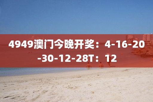 4949澳门今晚开奖：4-16-20-30-12-28T：12