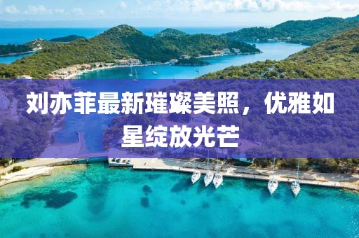 刘亦菲最新璀璨美照，优雅如星绽放光芒