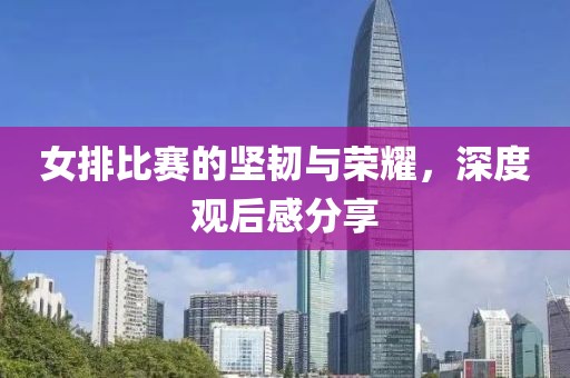 女排比赛的坚韧与荣耀，深度观后感分享
