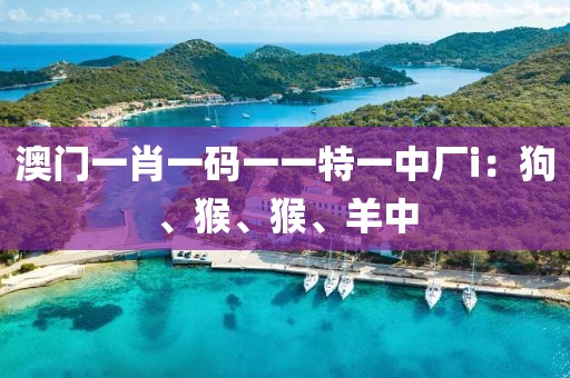 澳门一肖一码一一特一中厂i：狗、猴、猴、羊中