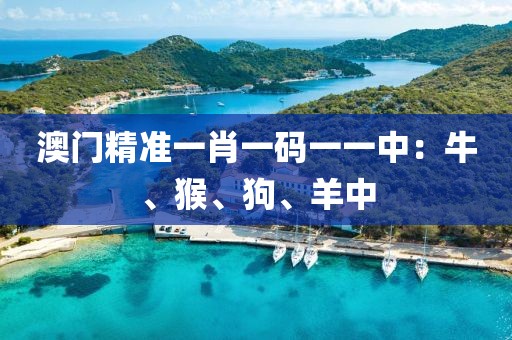 白裙红衣 第21页