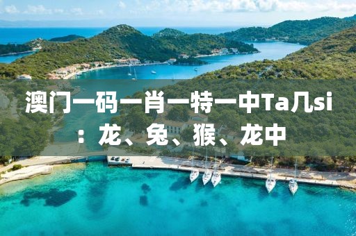 指尖落樱舞 第21页