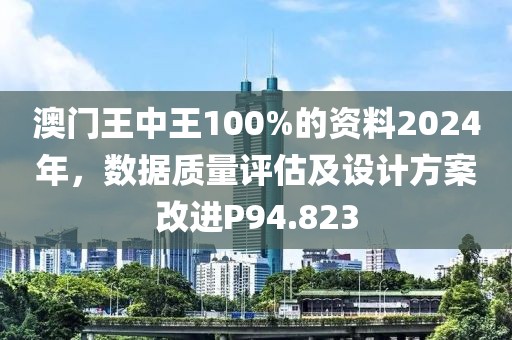 澳门王中王100%的资料2024年，数据质量评估及设计方案改进P94.823