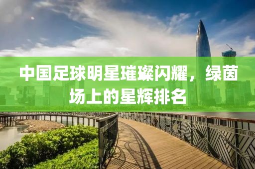 中国足球明星璀璨闪耀，绿茵场上的星辉排名