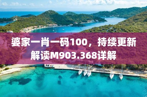 婆家一肖一码100，持续更新解读M903.368详解