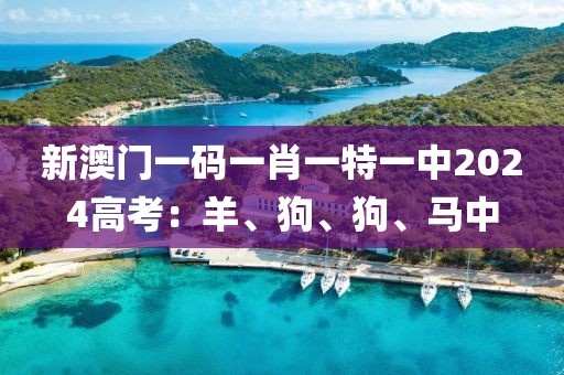 新澳门一码一肖一特一中2024高考：羊、狗、狗、马中