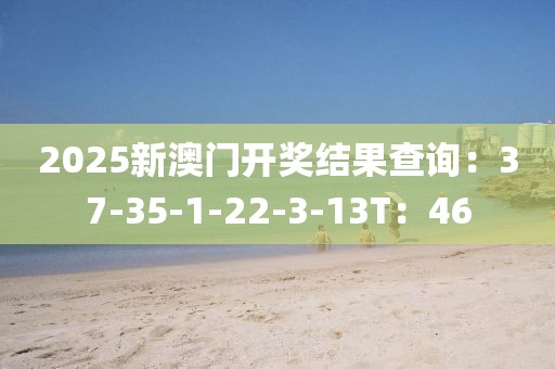 2025新澳门开奖结果查询：37-35-1-22-3-13T：46