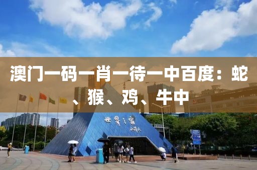 澳门一码一肖一待一中百度：蛇、猴、鸡、牛中