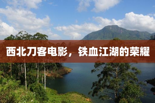 西北刀客电影，铁血江湖的荣耀