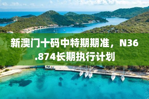 新澳门十码中特期期准，N36.874长期执行计划