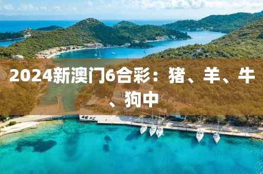 2024新澳门6合彩：猪、羊、牛、狗中
