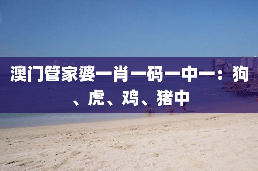 澳门管家婆一肖一码一中一：狗、虎、鸡、猪中