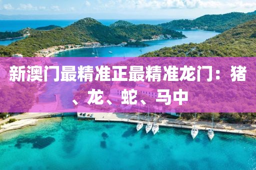 新澳门最精准正最精准龙门：猪、龙、蛇、马中