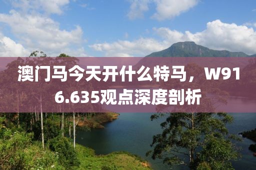 澳门马今天开什么特马，W916.635观点深度剖析