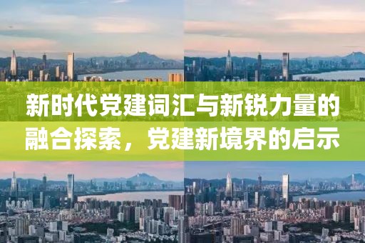 新时代党建词汇与新锐力量的融合探索，党建新境界的启示