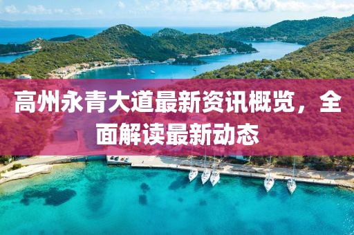 高州永青大道最新资讯概览，全面解读最新动态