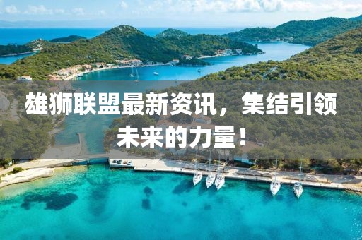 雄狮联盟最新资讯，集结引领未来的力量！