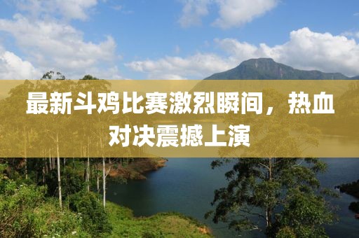最新斗鸡比赛激烈瞬间，热血对决震撼上演