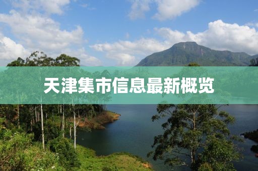 天津集市信息最新概览