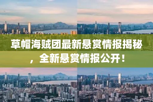 草帽海贼团最新悬赏情报揭秘，全新悬赏情报公开！