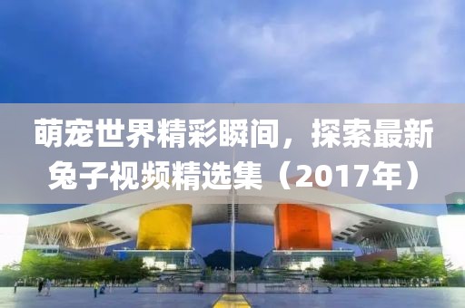 萌宠世界精彩瞬间，探索最新兔子视频精选集（2017年）