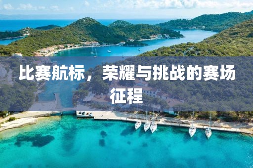比赛航标，荣耀与挑战的赛场征程