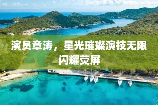 演员章涛，星光璀璨演技无限闪耀荧屏