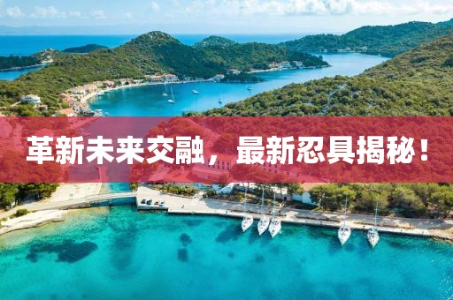 革新未来交融，最新忍具揭秘！