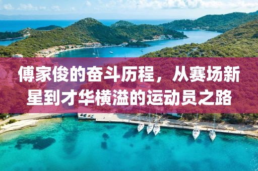 傅家俊的奋斗历程，从赛场新星到才华横溢的运动员之路