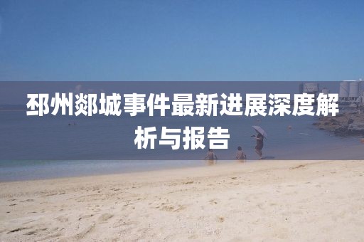 邳州郯城事件最新进展深度解析与报告
