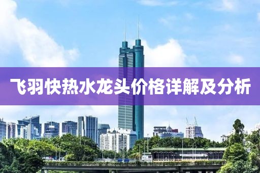 飞羽快热水龙头价格详解及分析