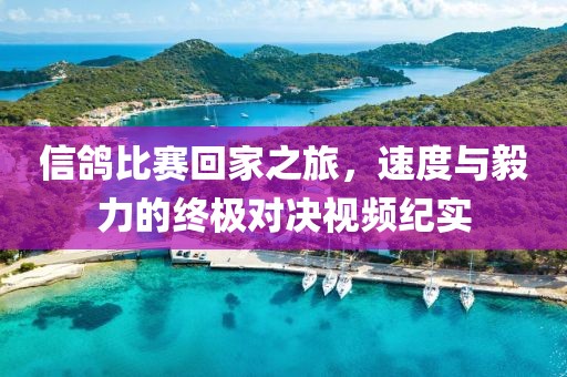 鱼沉秋水 第18页