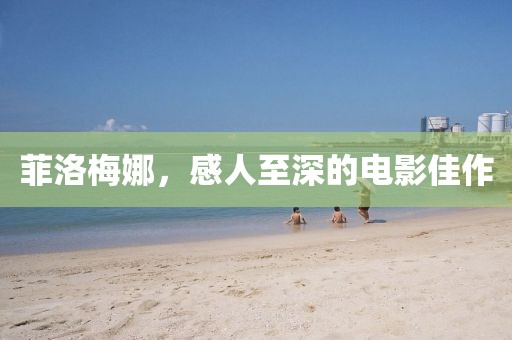 2025年1月 第329页
