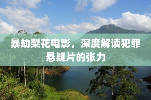 暴劫梨花电影，深度解读犯罪悬疑片的张力