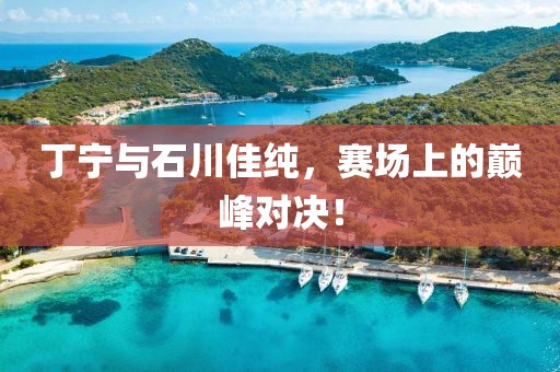 丁宁与石川佳纯，赛场上的巅峰对决！