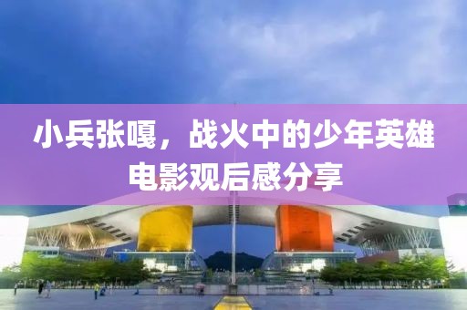 小兵张嘎，战火中的少年英雄电影观后感分享