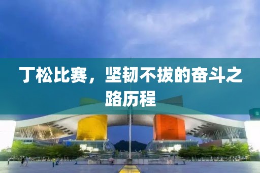 丁松比赛，坚韧不拔的奋斗之路历程