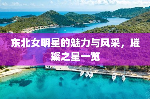 东北女明星的魅力与风采，璀璨之星一览
