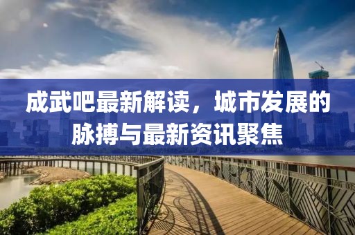 成武吧最新解读，城市发展的脉搏与最新资讯聚焦