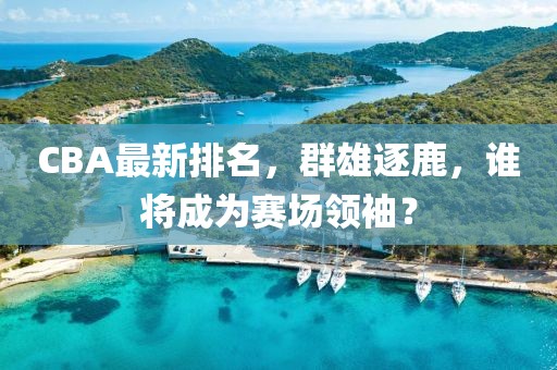 CBA最新排名，群雄逐鹿，谁将成为赛场领袖？