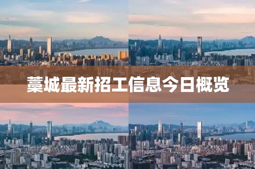 藁城最新招工信息今日概览