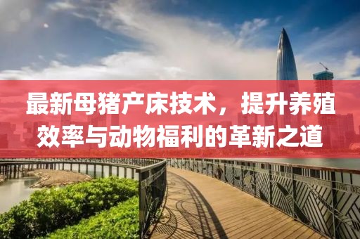 最新母猪产床技术，提升养殖效率与动物福利的革新之道