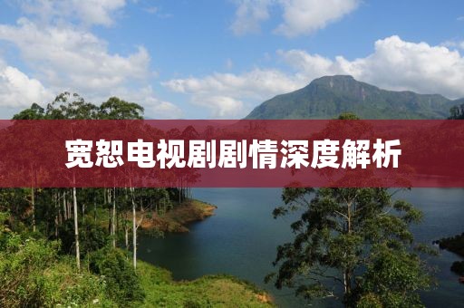 宽恕电视剧剧情深度解析