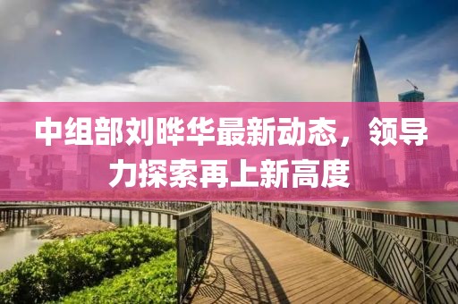 中组部刘晔华最新动态，领导力探索再上新高度