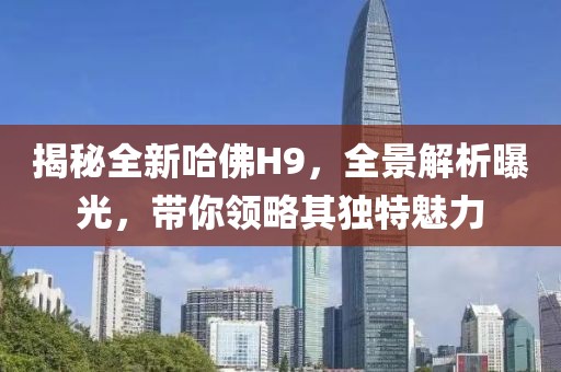 揭秘全新哈佛H9，全景解析曝光，带你领略其独特魅力