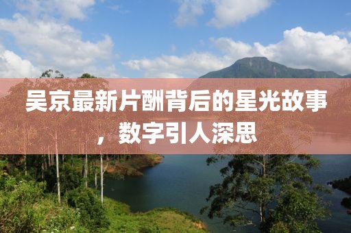 吴京最新片酬背后的星光故事，数字引人深思